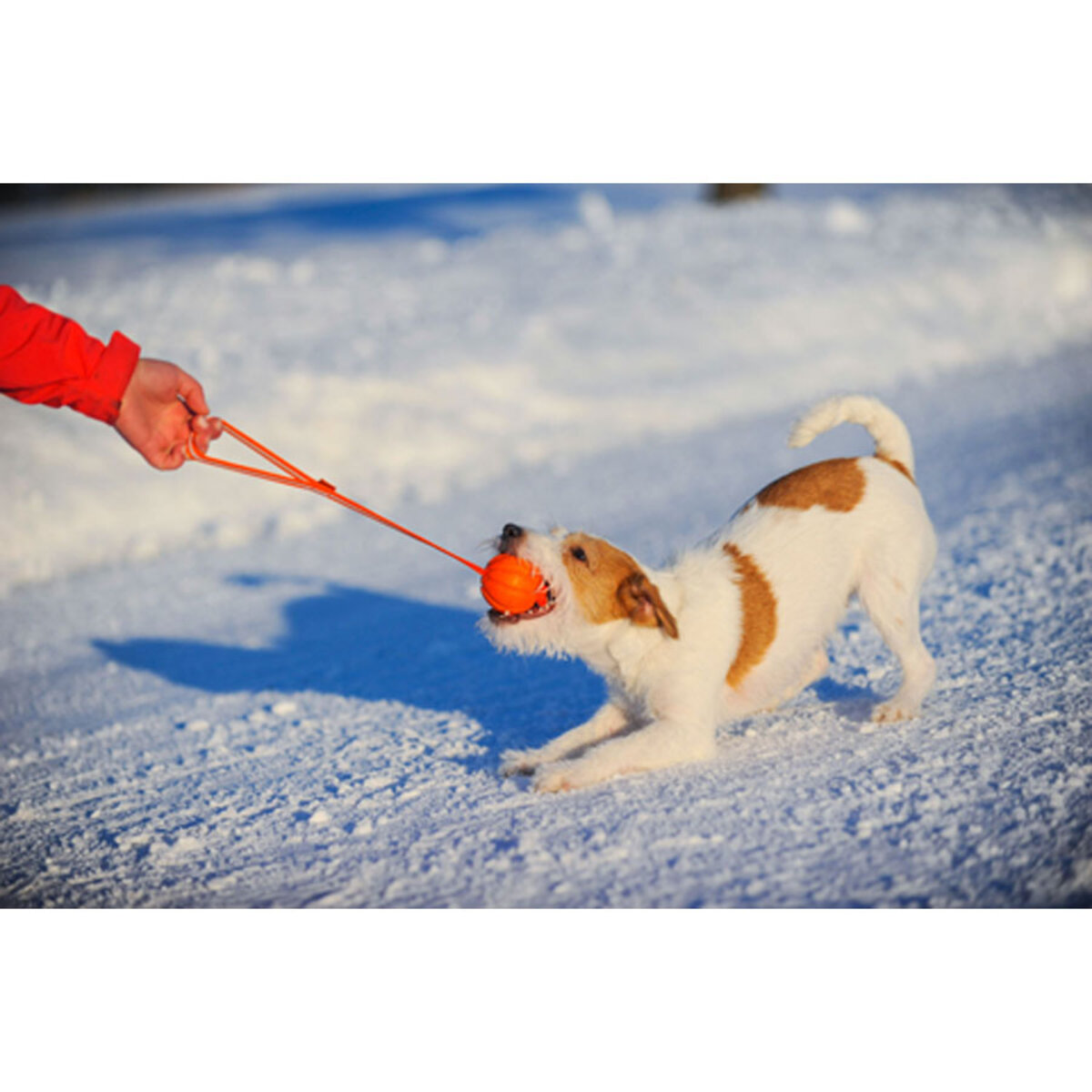 Liker Line - obrazek 5